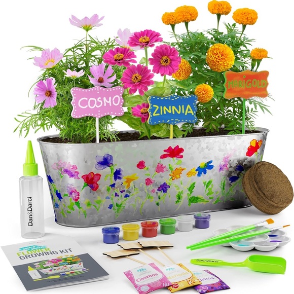 Paint & Plant Flower Growing Kit for Kids - Best Birthday Crafts Gifts - Picture 1 of 10